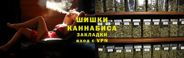 молекула духа Костерёво