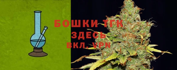 молекула духа Костерёво
