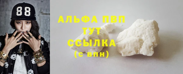 молекула духа Костерёво