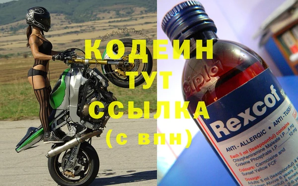 молекула духа Костерёво